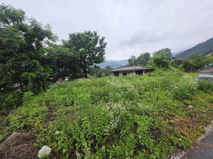 충북 제천시 봉양읍 답 경매 물건 사진 4 · 2025타경5369