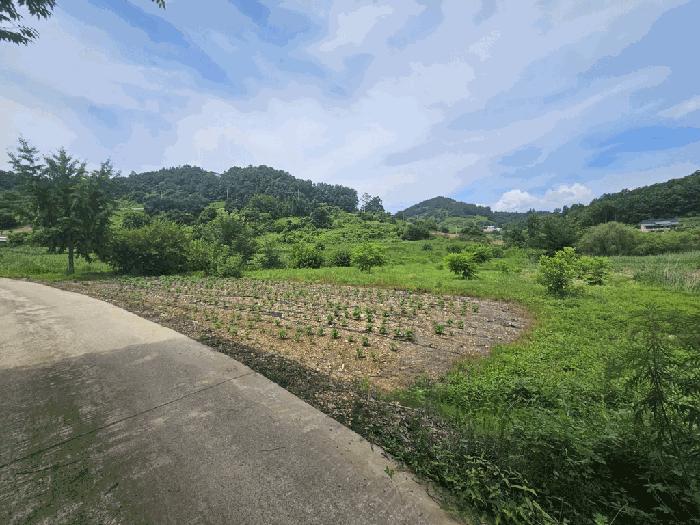 충북 제천시 수산면 전답 경매 물건 사진