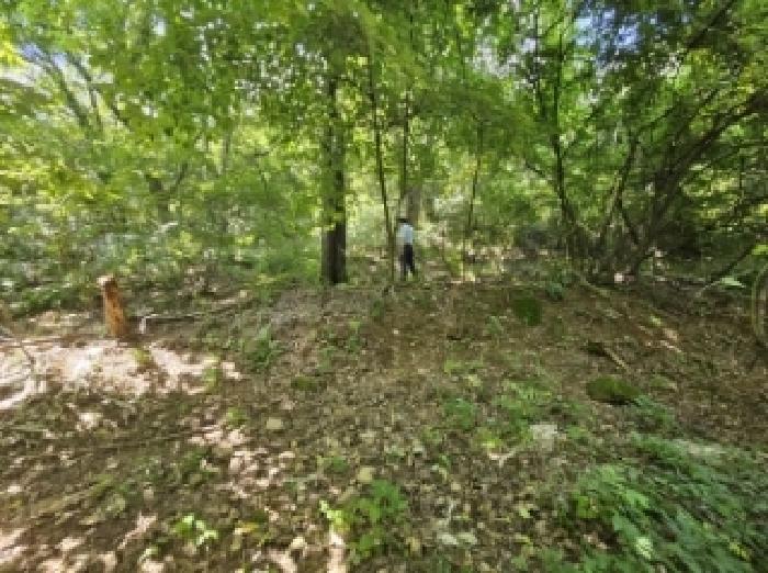 충북 단양군 적성면 임야 경매 물건 사진 3 · 2025타경5374