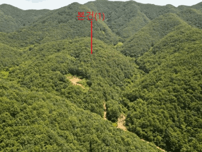 충청북도 단양군 어상천면 심곡리 산12 임야 경매 물건 사진
