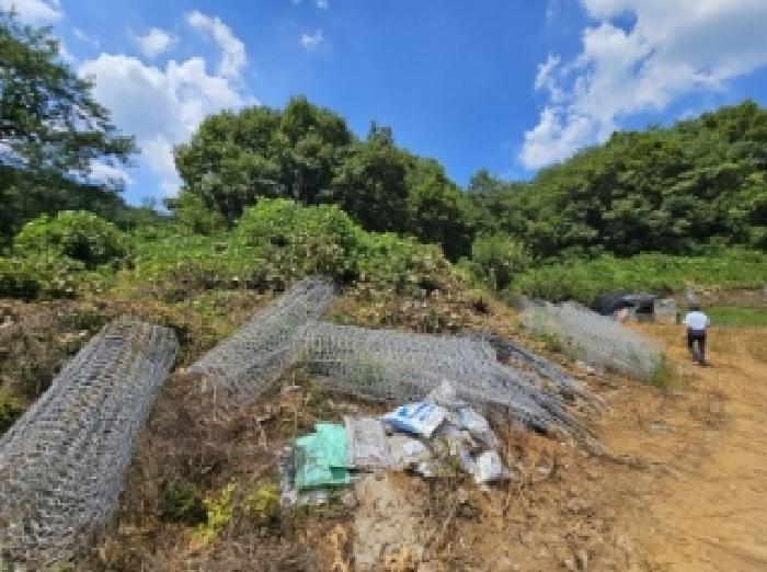 충북 단양군 어상천면 임야 경매 물건 사진 4 · 2025타경5375
