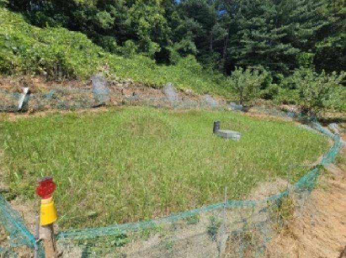충북 단양군 어상천면 임야 경매 물건 사진 5 · 2025타경5375