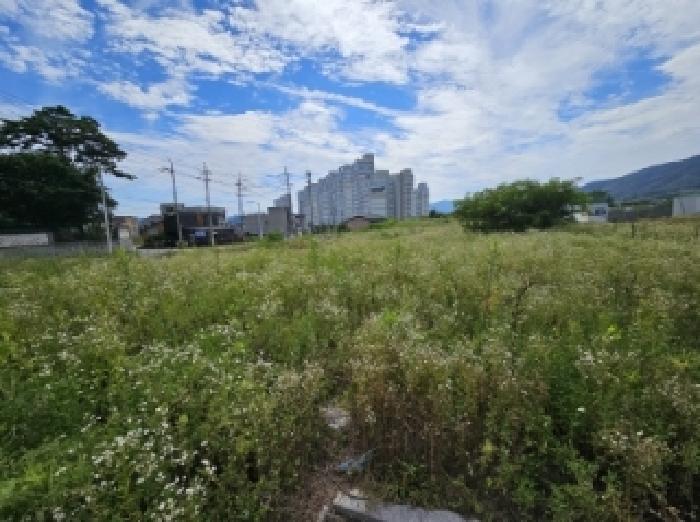 충북 제천시 왕암동 전 경매 물건 사진 3 · 2025타경5377