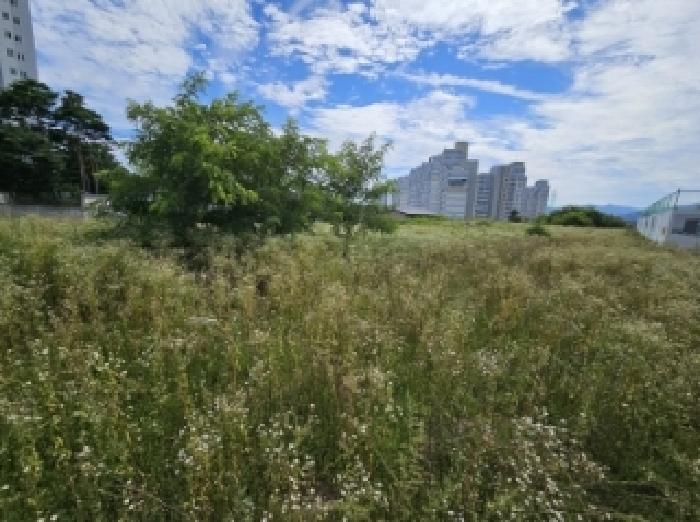 충북 제천시 왕암동 전 경매 물건 사진 5 · 2025타경5377
