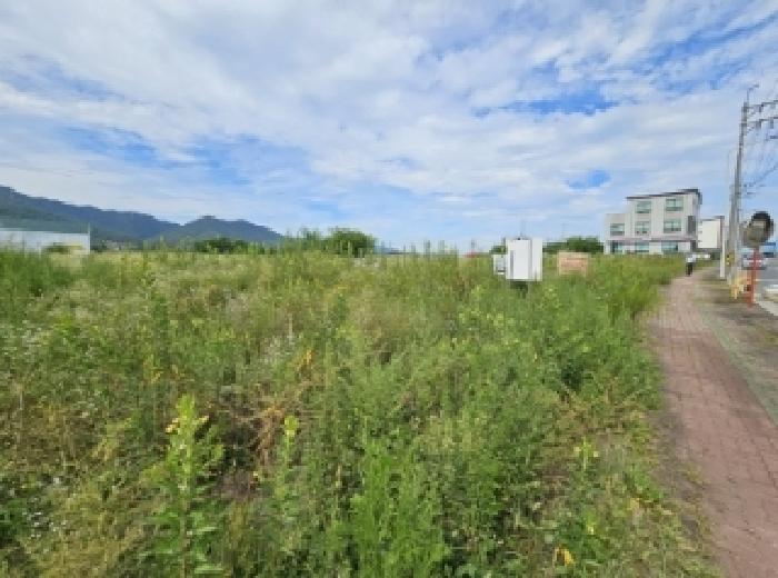 충북 제천시 왕암동 전 경매 물건 사진 6 · 2025타경5377