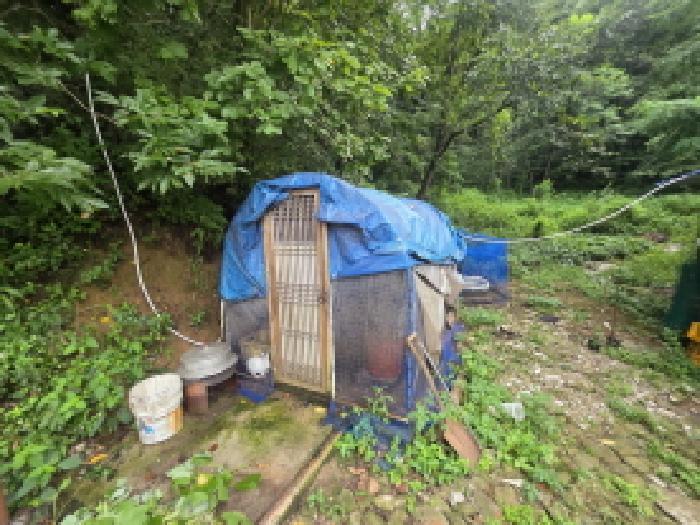충북 제천시 백운면 단독주택 경매 물건 사진 6 · 2025타경5381