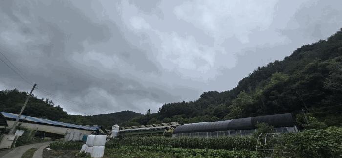 충북 제천시 두학동 임야 경매 물건 사진