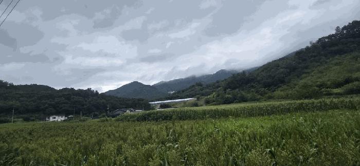충북 제천시 두학동 임야 경매 물건 사진 4 · 2025타경5386