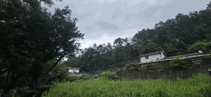 충북 제천시 두학동 임야 경매 물건 사진 6 · 2025타경5386