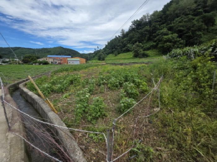 충북 제천시 덕산면 답 경매 물건 사진 3 · 2025타경5388