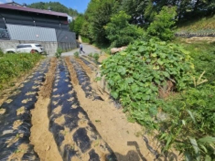 충북 제천시 하소동 전 경매 물건 사진 4 · 2025타경5397