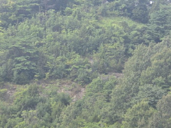 충북 제천시 수산면 전 경매 물건 사진