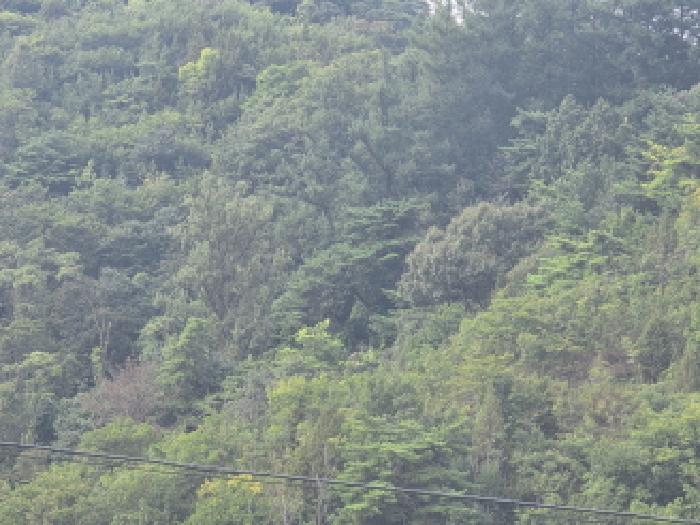 충북 제천시 수산면 전 경매 물건 사진 2 · 2025타경5398
