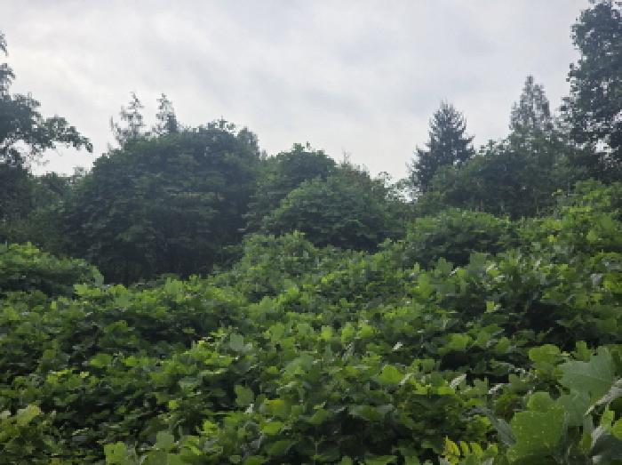 충북 제천시 수산면 전 경매 물건 사진 3 · 2025타경5398