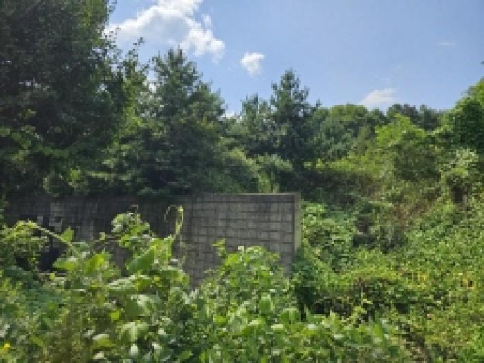 충북 제천시 신월동 임야 경매 물건 사진 6 · 2025타경5399