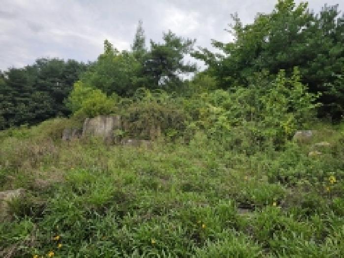 충북 단양군 적성면 임야 경매 물건 사진 4 · 2025타경5406