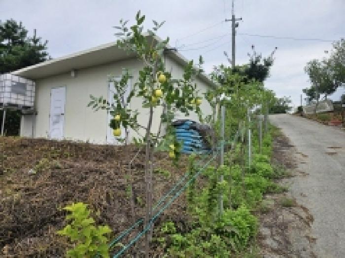 충북 제천시 신월동 전 경매 물건 사진 6 · 2025타경5407