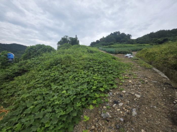 충북 제천시 수산면 전 경매 물건 사진 2 · 2025타경5409