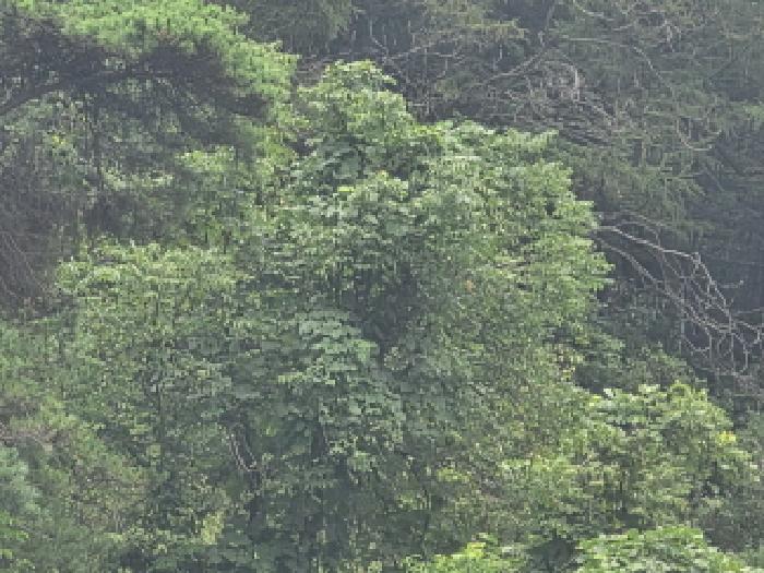 충북 제천시 수산면 전 경매 물건 사진 5 · 2025타경5409