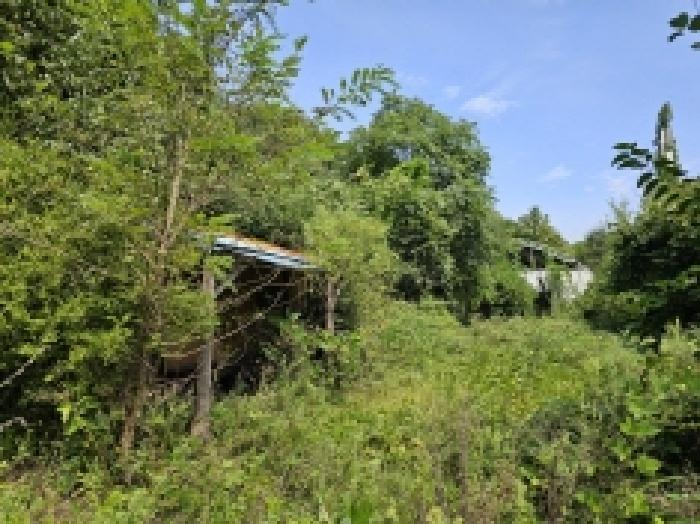 충북 단양군 적성면 전 경매 물건 사진 3 · 2025타경5410