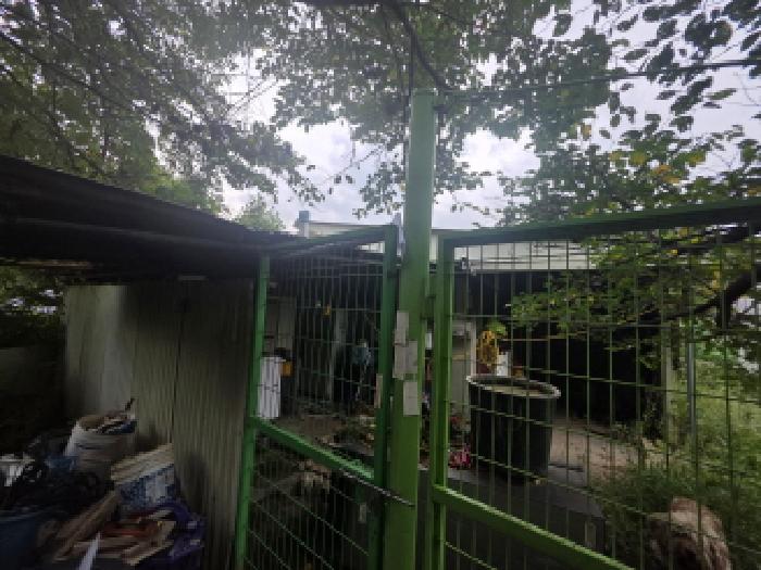 충북 제천시 봉양읍 답 경매 물건 사진 2 · 2025타경5411