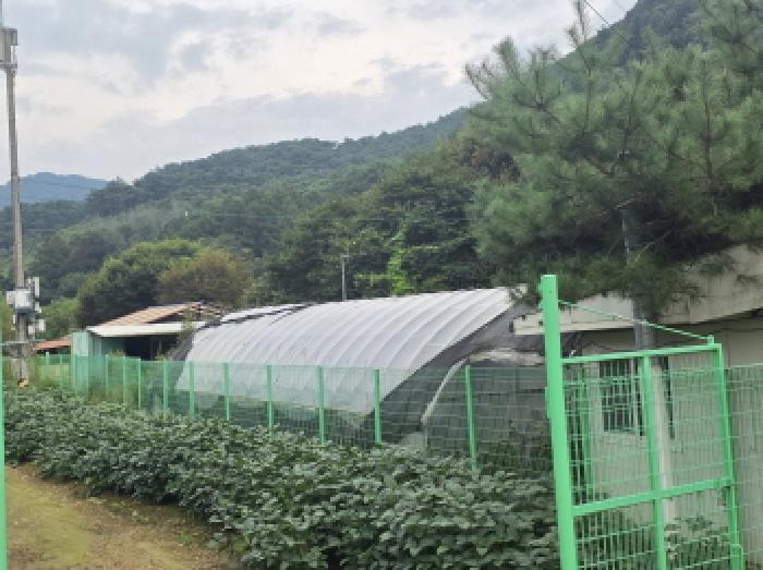 충북 제천시 봉양읍 답 경매 물건 사진 6 · 2025타경5411