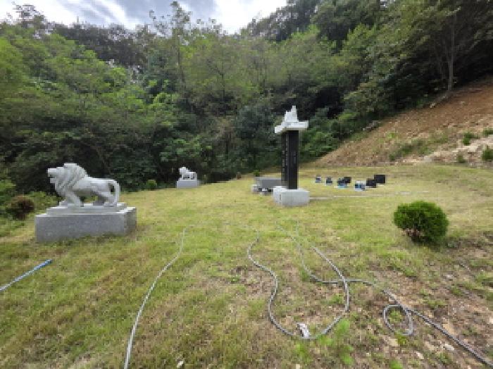 충북 제천시 봉양읍 임야 경매 물건 사진