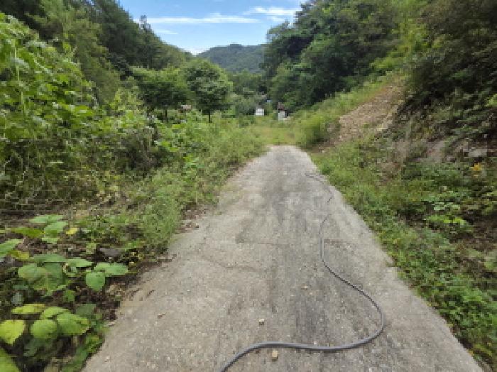 충북 제천시 봉양읍 임야 경매 물건 사진 4 · 2025타경5413