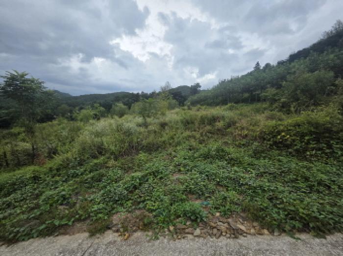 충북 제천시 덕산면 전 경매 물건 사진