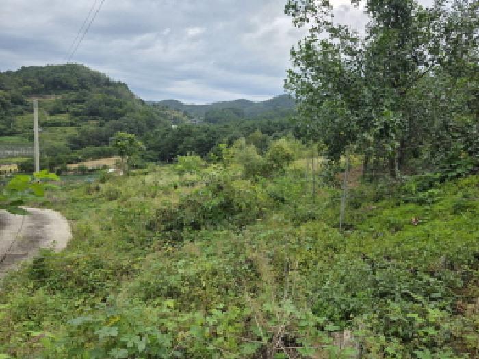 충북 제천시 덕산면 전 경매 물건 사진 2 · 2025타경5414
