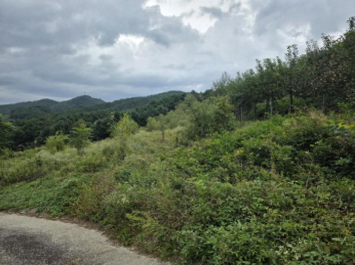 충북 제천시 덕산면 전 경매 물건 사진 3 · 2025타경5414
