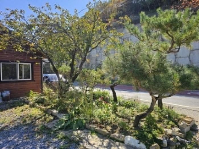 충북 단양군 적성면 단독주택 경매 물건 사진 2 · 2025타경5445