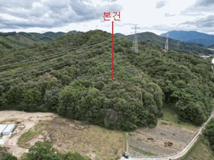 충북 제천시 봉양읍 임야 경매 물건 사진 6 · 2025타경5446