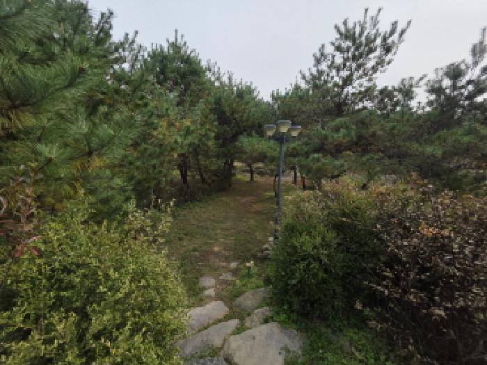 충북 제천시 백운면 단독주택 경매 물건 사진 3 · 2025타경5449