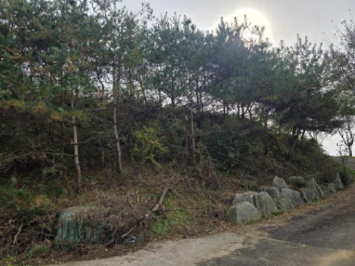 충북 제천시 백운면 단독주택 경매 물건 사진 4 · 2025타경5449