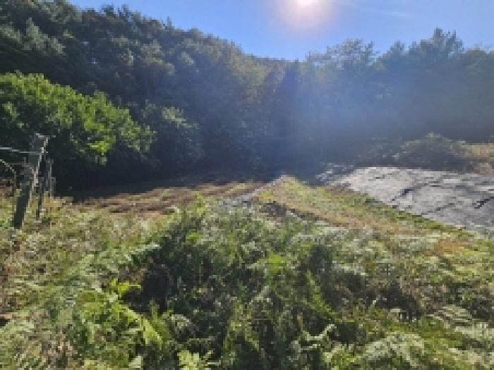 충북 단양군 단성면 전 경매 물건 사진