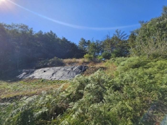 충북 단양군 단성면 전 경매 물건 사진 2 · 2025타경5451