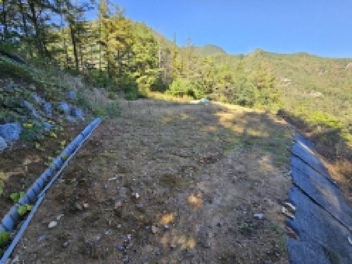 충북 단양군 단성면 전 경매 물건 사진 5 · 2025타경5451