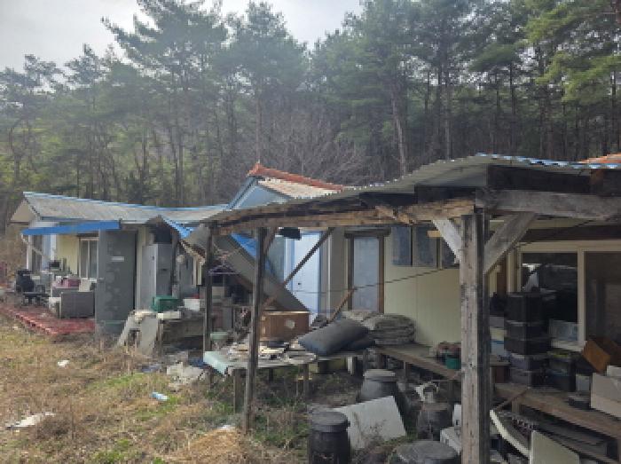 충북 제천시 송학면 근린생활시설 경매 물건 사진