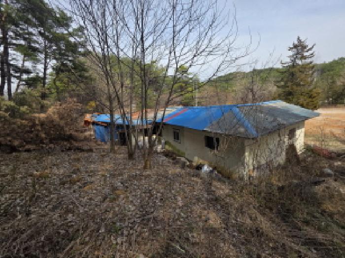충북 제천시 송학면 근린생활시설 경매 물건 사진 5 · 2025타경5452