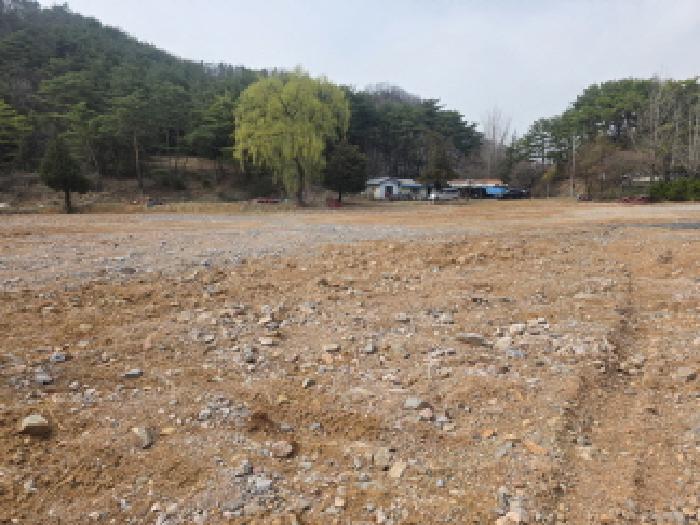 충북 제천시 송학면 근린생활시설 경매 물건 사진 6 · 2025타경5452