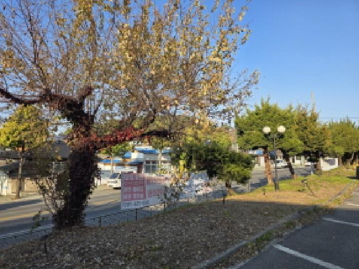 충북 제천시 교동 근린생활시설 경매 물건 사진 3 · 2025타경5460