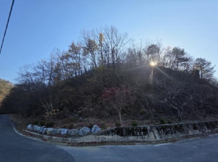 충북 제천시 수산면 임야 경매 물건 사진