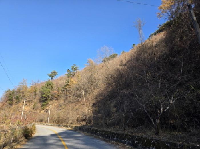 충북 제천시 수산면 임야 경매 물건 사진 2 · 2025타경5464