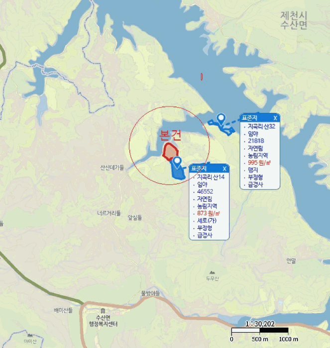 충북 제천시 수산면 임야 경매 물건 사진 6 · 2025타경5464