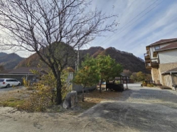 충북 단양군 영춘면 답 경매 물건 사진 2 · 2025타경5469