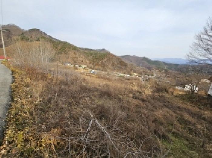 충북 단양군 적성면 전답 경매 물건 사진