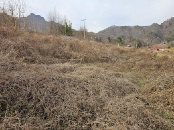 충북 단양군 가곡면 전 경매 물건 사진 2 · 2025타경5476