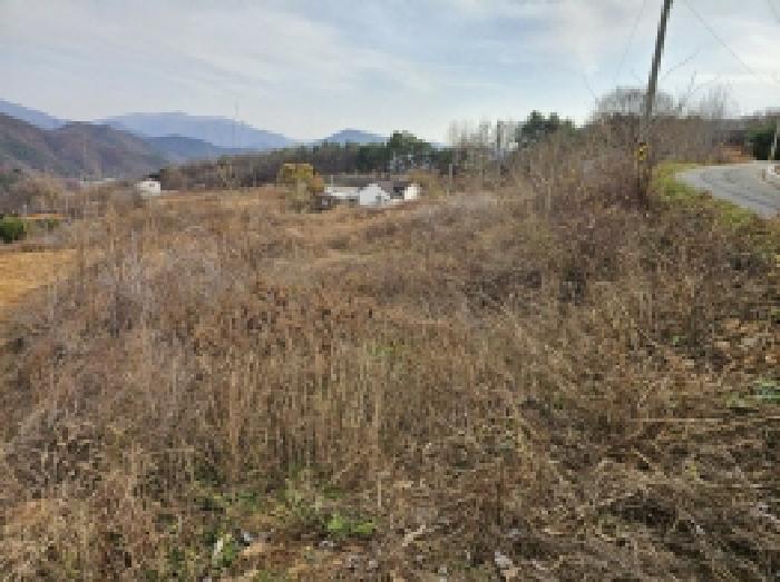 충북 단양군 가곡면 전 경매 물건 사진 3 · 2025타경5476
