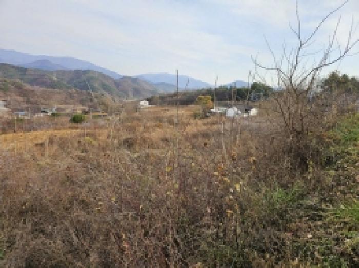 충북 단양군 가곡면 전 경매 물건 사진 4 · 2025타경5476